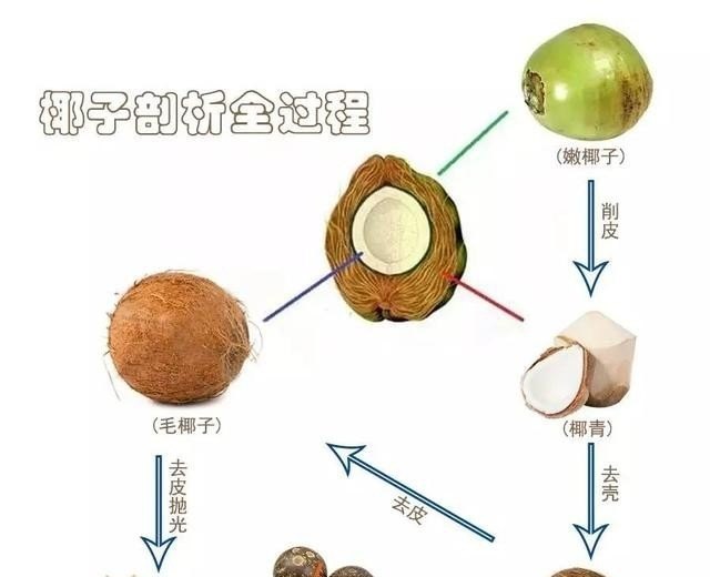 宁波牛奶集团的鲜奶靠谱吗_宁波甬优牛奶质量好么