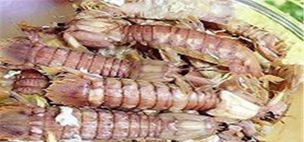 长沙奶茶店排名前十品牌_湖湘农耕是加盟的吗