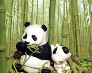什么类型的壁纸和皮肤既护眼又好看,电脑护眼屏保