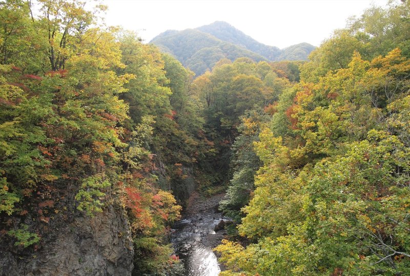 什么季节去天全喇叭河旅游风景最好_雅安旅游景点