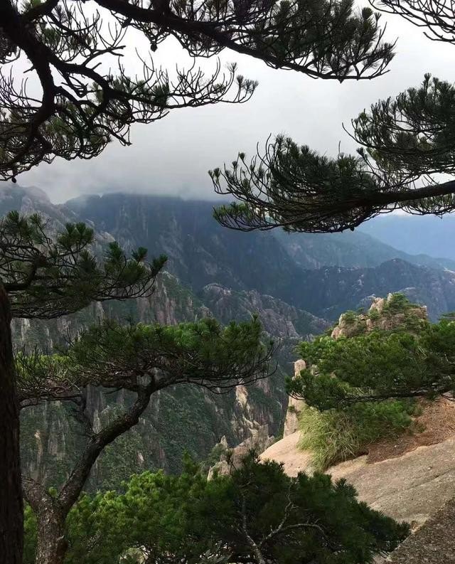青州到黄山旅游团多少钱一张票，黄山跟团旅游