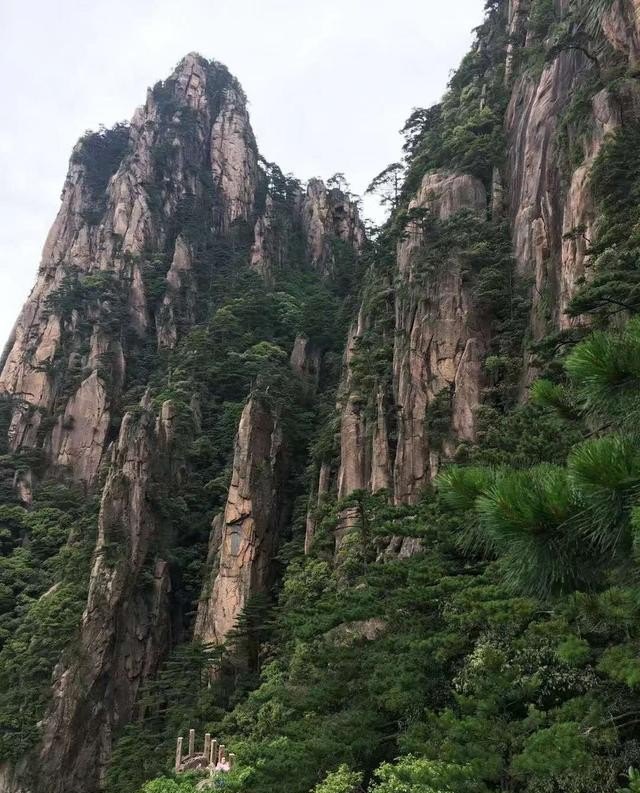 青州到黄山旅游团多少钱一张票，黄山跟团旅游