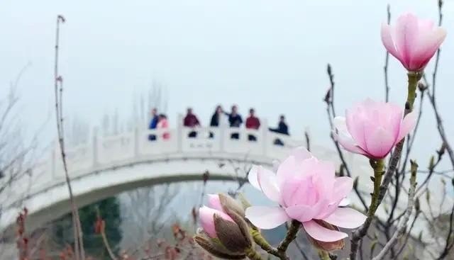 河北邯郸地区做什么生意赚钱,邯郸6月汽车销量