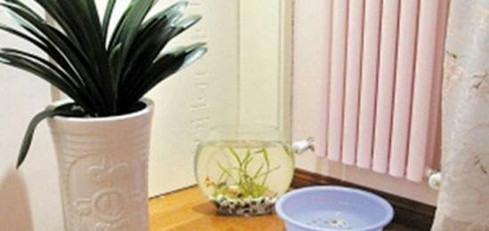 房子干燥怎么办,屋里干燥怎么办