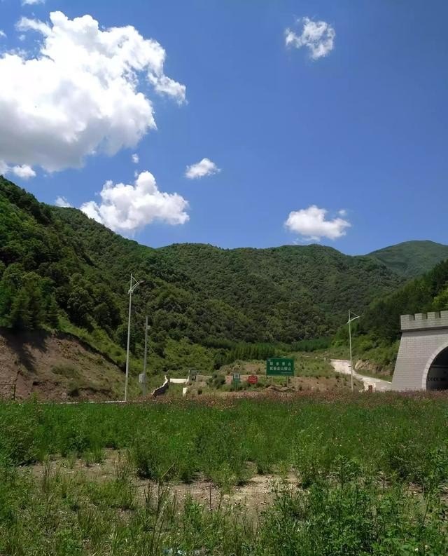 出省旅游是跟团还是自由行划算,自主旅游