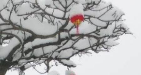 新年绘本怎么做_chinesenewyear三年级绘本读后感 - 华夏历史