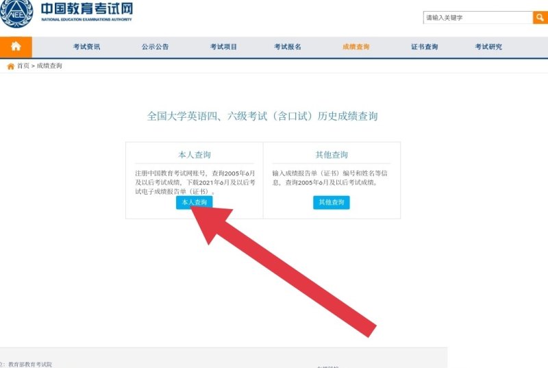 关于中国加入世贸组织的作文_关于wto的英语作文