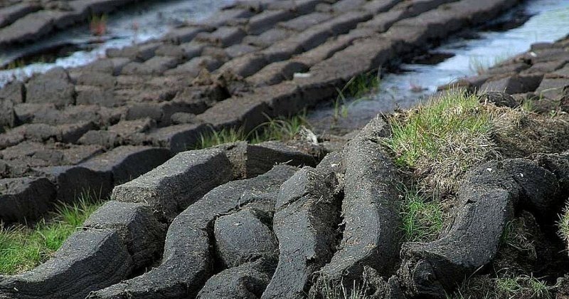 王者荣耀6月12日,王者荣耀6月12日 - 小牛游戏