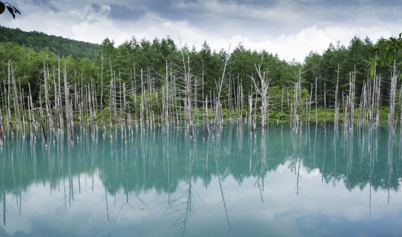 深圳观澜湖景区有什么好玩的，观澜湖旅游