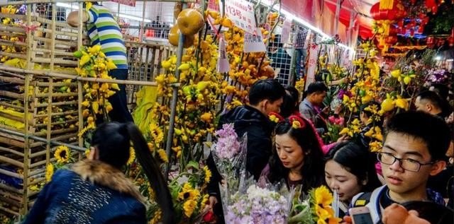 什么是“花城”的市花？为什么,花城有什么习俗 - 华夏历史