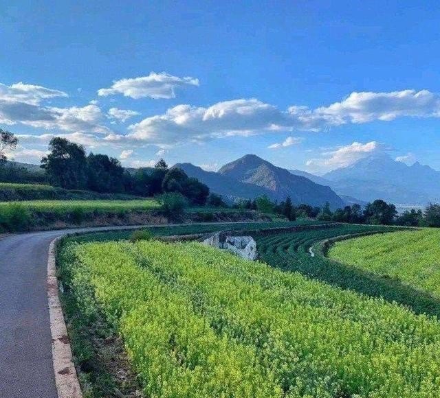 云南旅游不跟团安全吗_去云南旅游跟团去怎么样