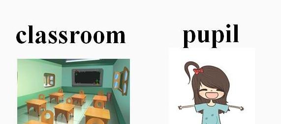 其他垃圾可回收垃圾不可回收垃圾厨余垃圾分别有什么_绿巨人回收靠谱吗 - 宝贝英语