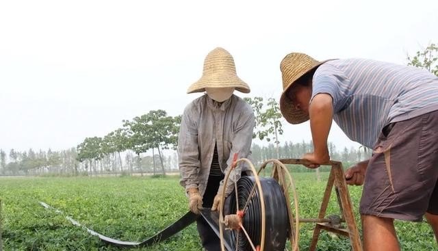 飞霞的近义词，光遇霞所有光翼位置 - 小牛游戏