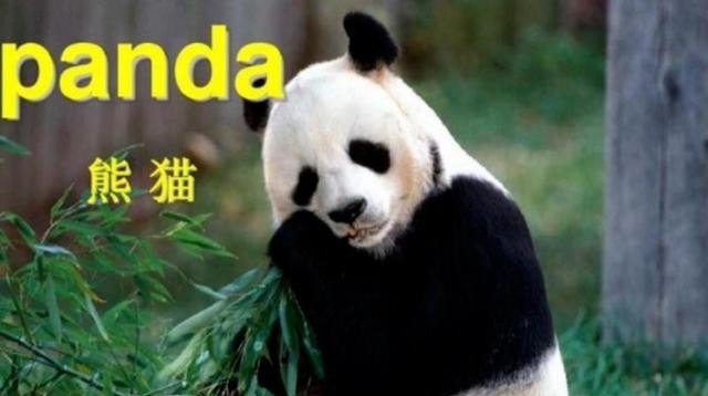 托福和雅思考费哪个贵_英语托福雅思考试费用为什么那么贵 是合法的还是违法的