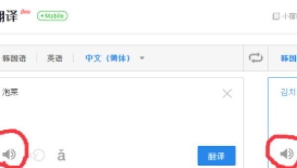 1999年十大流行歌曲_山西洪洞大槐树++中主要有哪些姓氏 - 宝贝英语
