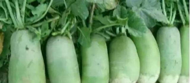 平顶山什么小吃好,河南平顶山美食推荐