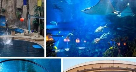北京海淀区有那些旅游景点,海淀区旅游