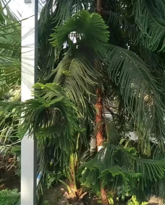 ++++有适合情侣去玩的景点吗_爱情旅游景点