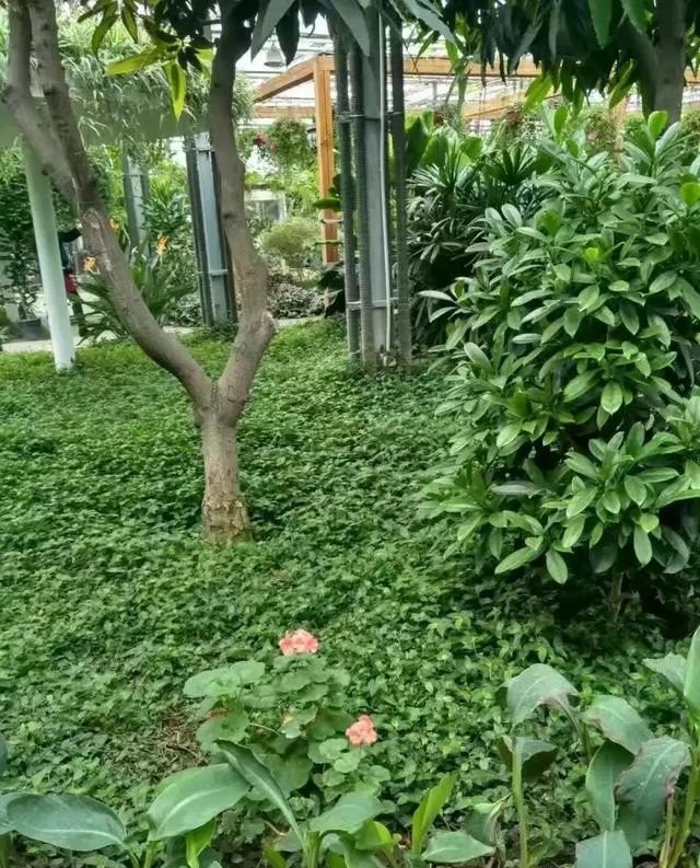 ++++有适合情侣去玩的景点吗_爱情旅游景点