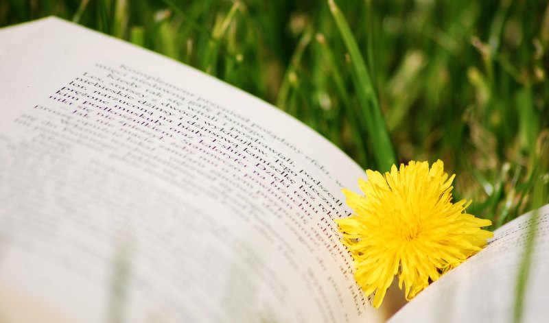 俩宝开学的说说_祝学生们新的学期成绩进步的语句