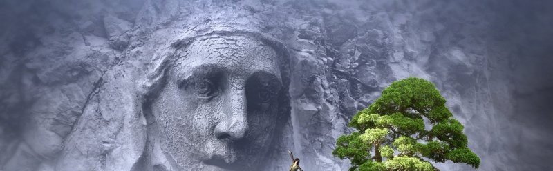 原神须弥跳板如何跳得更高,原神须弥元素攻略 - 小牛游戏