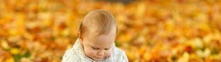 淮南幼小衔接班哪家好_个人如何开办幼小衔接班