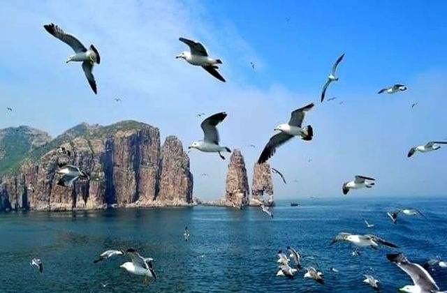 山东沿海旅游,山东沿海旅游