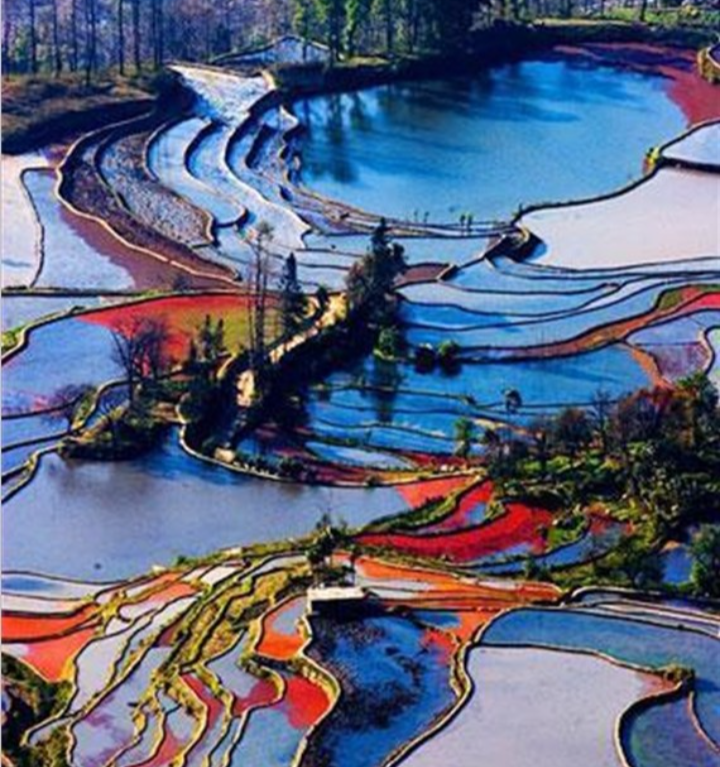 现在去元阳梯田合适吗，元阳梯田旅游