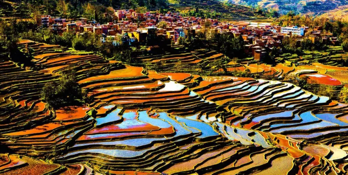 现在去元阳梯田合适吗，元阳梯田旅游
