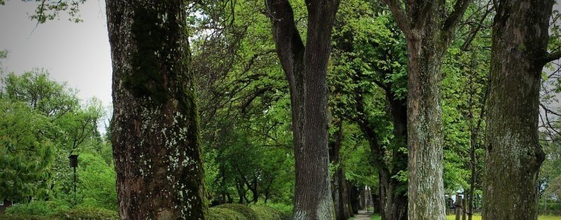 光遇小王子沉船图怎么去，光遇墓地沉船在那 - 小牛游戏