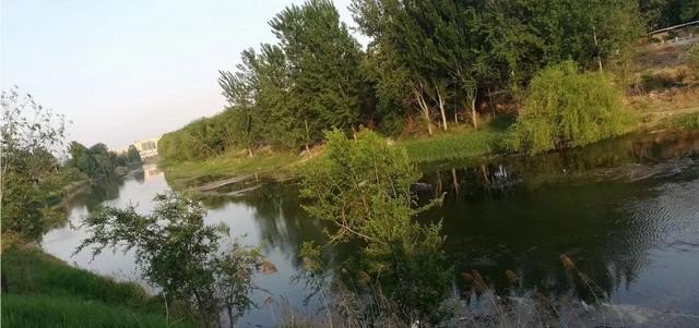 离泊头最近的旅游景点有哪些,泊头旅游