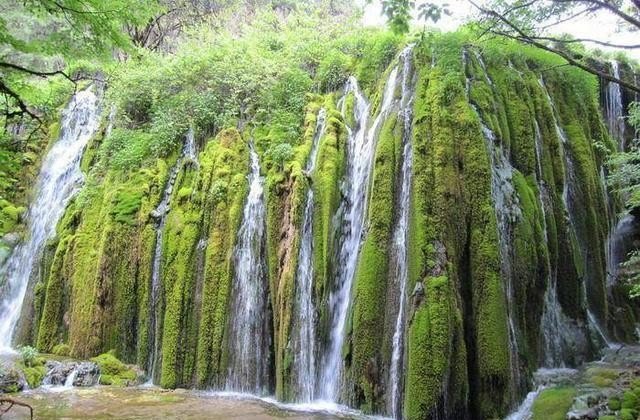 跟团去云南旅游危险吗_云南旅游究竟能不能跟团