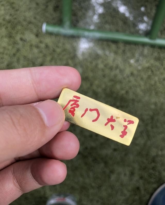 英语作文写不来，只会背范文，怎么办，英语不写作文 - 宝贝英语