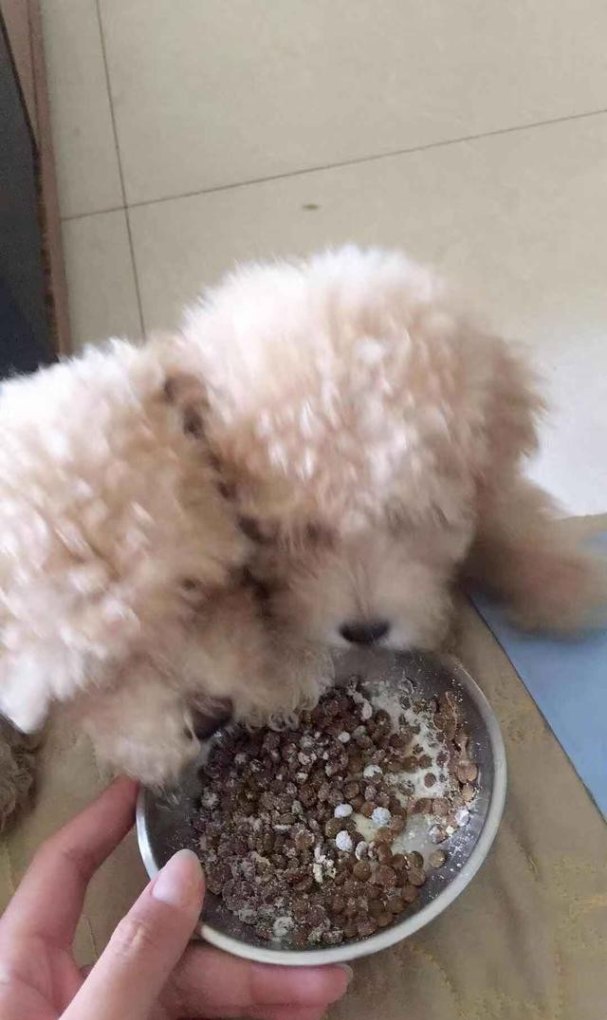 耳朵后面不小心磕到肿了好大一块有什么办法能消肿，耳垂肿了怎么办