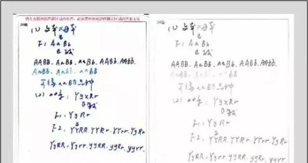 四级精读阅读做题技巧，英语四级阅读主旨怎么背 - 宝贝英语