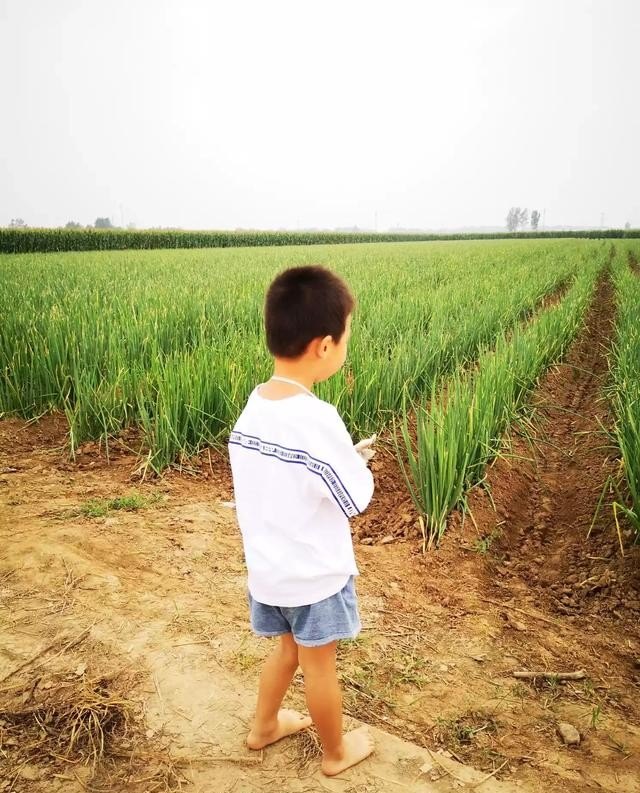 黄骅港有什么可玩的？打算五一去 不知道能有,黄骅港旅游