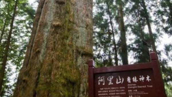 台湾十大景点排名，宝岛台湾著名十大景点介绍，台北旅游景点