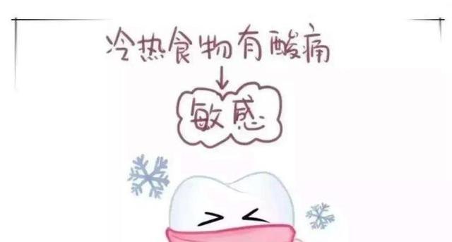 厦门福佑大饭店介绍_厦门有哪些特色的海鲜酒楼或排档 性价比好的