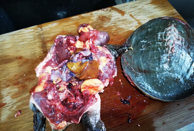 霸王别鸡的做法与配方_酒桌上上霸王别鸡有什么意思