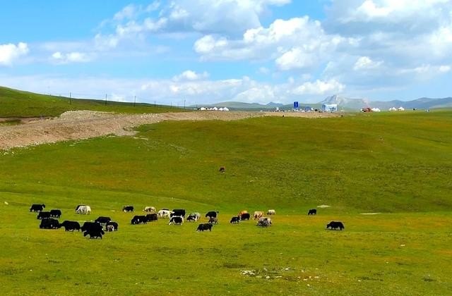 巴音布鲁克草原游玩多长时间合适,巴音布鲁克旅游