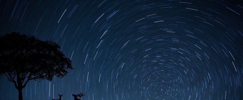 热带雨林的保护动物是什么_疣辞 和平精英