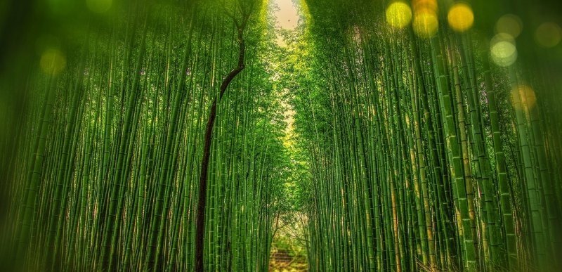 和平精英如何快速出车,和平精英玄学攻略