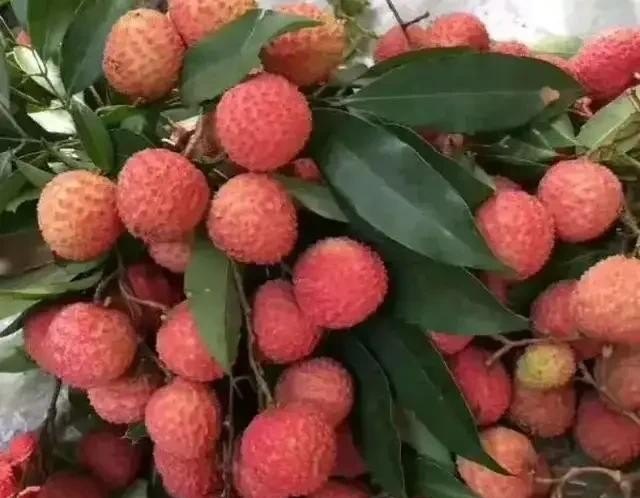 深训有何特色的美食_2022砥砺前行的句子