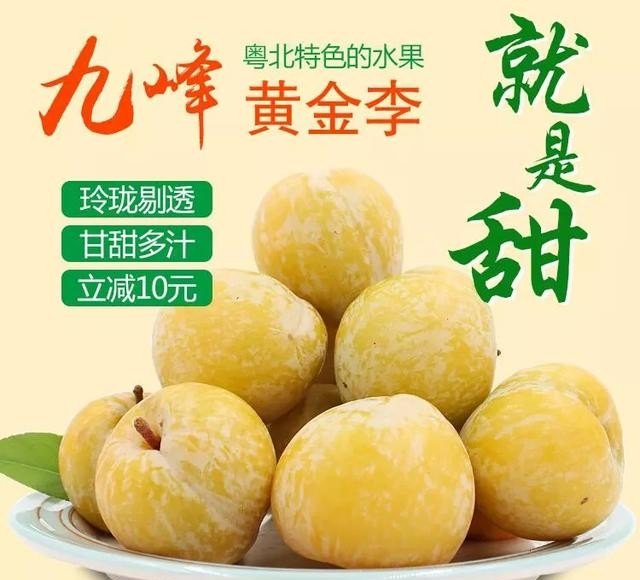 丹霞山属乐昌吗,乐昌市的红色历史文化 - 华夏历史