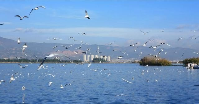 11月份去云南旅游好吗，昆明旅游季节