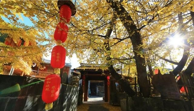11月份去云南旅游好吗，昆明旅游季节