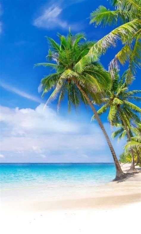 新马泰自由行详细路线，新马泰的旅游