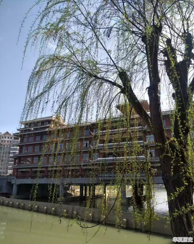 你能写一首格律意境佳的七律吗 - 华夏历史