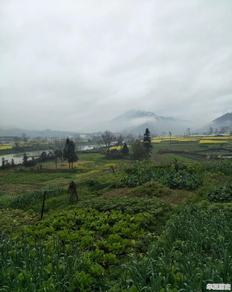你能写一首格律意境佳的七律吗 - 华夏历史