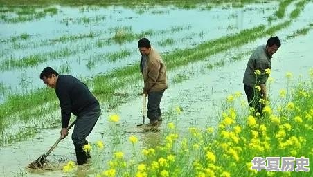 你能写一首格律意境佳的七律吗 - 华夏历史